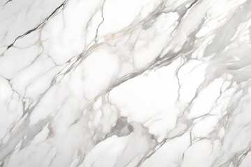 Obraz premium snow covered branches