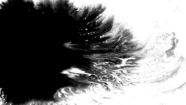 Black ink abstract background artistic flow splatter spots spills white paper beautiful reveal dripping streaks spread fluid ink alpha matte isolated watercolor ink drops transition	
