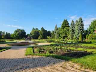 park in summer