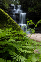 Beautiful multi tiered cascading waterfall in a lush forest of ferns and mossy rocks