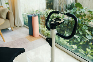 A detailed view of a stationary bike in a bright living room with yoga mats and plants by the window