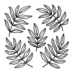 Set of leaves illustration vector