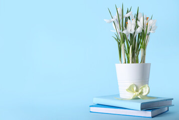 Pot with beautiful white crocus flowers and books on blue background