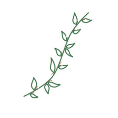 Doodle leaf tendrils leaf decoration illustration drawing that can be used for sticker, book, scrapbook, icon, decorative, e.t.c cute with green white colors