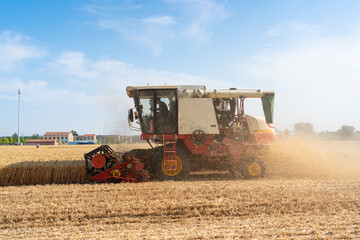 Combine harvester harvests wheat in the field. Agriculture background. Harvest season