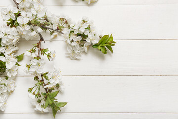 Beautiful blossoming branches on white wooden background