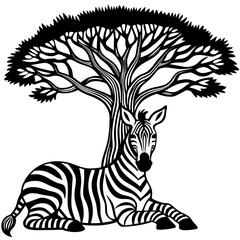 zebra and tree © ProshantaChakrabarty