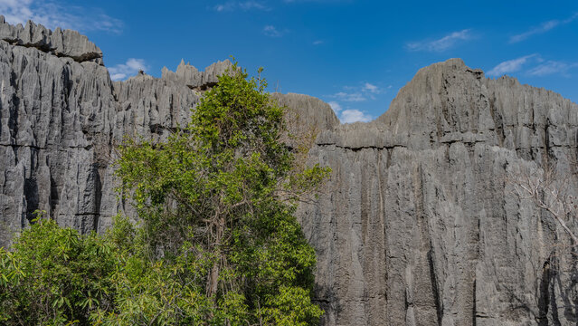 Sharp Rocks Side Image