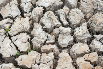 dry and cracked soil after a drought, climate change concept.