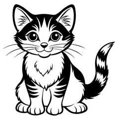 black and white cat