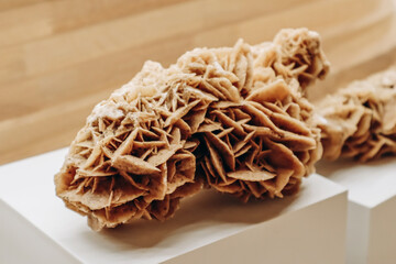 A desert rose, an intricate rose-like formation of crystal clusters of gypsum or baryte, which...