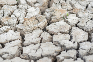 dry and cracked soil after a drought, climate change concept.