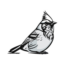 Vector logo bird