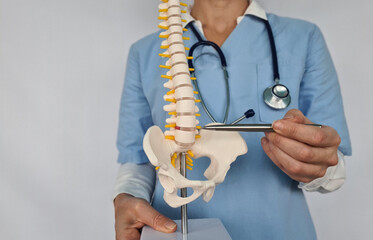 Doctor Pointing to Lumbar Vertebrae on Spine Model