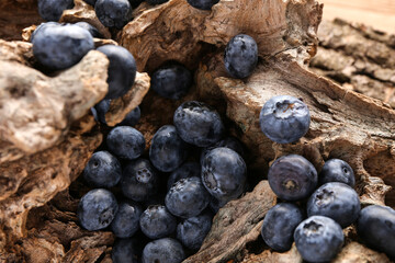Sweet fresh blueberries on tree bark, closeup