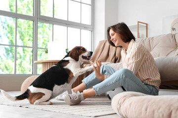 Young woman giving high-five to Beagle dog at home