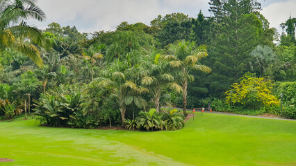 Natural Landscape Of Singapore Botanic Gardens. Botanic Gardens Is The First UNESCO World Heritage Site Of Singapore.