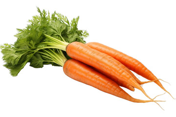 Fresh carrots with green tops isolated on transparent background
