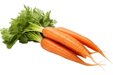 Fresh carrots with green tops isolated on transparent background