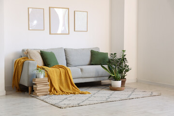 Comfortable sofa with cushions and plaid, houseplant and frame on wall in living room