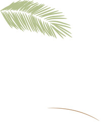 tropical date leaves