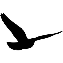 A silhouette of a pigeon in flight