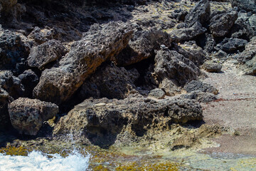 Photo Picture of the Beautiful Ocean Coast's View, Curaçao