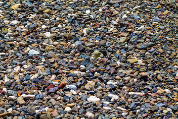 Colorful pebbles on the beach, closeup of photo