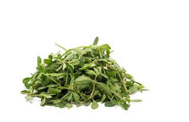 Closeup of Gima Shak or Indian Chickweed Leaves Isolated on White Background with Copy Space, Also Known as Glinus Oppositifolius, Maitakaduri Shak, Bitte Cumin or Dime Shak