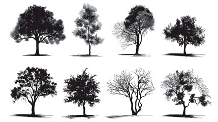 Tree silhouette set. CAD Drawing on white background