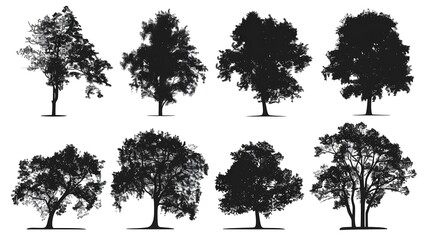 Fototapeta premium Tree silhouette set. CAD Drawing on white background