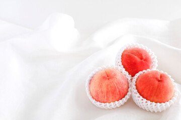 白背景の桃　ふんわりソフトなイメージ