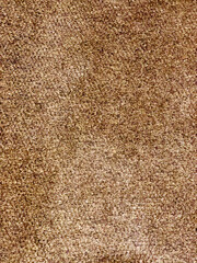 Brown carpet texture