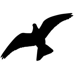 flying pigeon silhouette