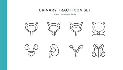 Urinary Tract Icon Set. Thin Line Illustrations of Kidneys, Bladder, Ureters, and Related Anatomical Structures. Editable Vector Signs Collection.