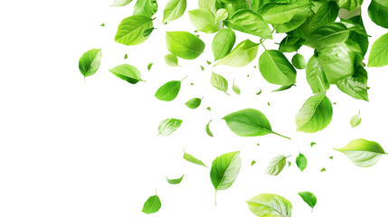 fluttering green leaves