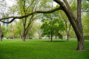 View of Coronation Park. Coronation Park is a park and veteran's memorial in Toronto.