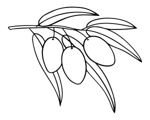 Graphically depicting a branch of an olive tree. Ripe berries for olive oil label. Vector element of a trademark, logo. White background, monochrome illustration. Engraving.