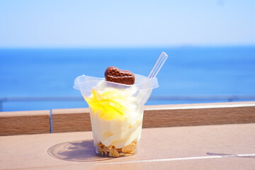 旅先の海が見える展望台で食べるソフトクリーム