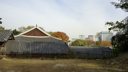 가을 풍경과 경희궁 고궁과 도시의 풍경입니다.