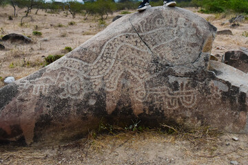 Carved rocks with ancient petroglyphs created by a past culture, a testament to early human artistry and symbolism.