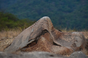 Carved rocks with ancient petroglyphs created by a past culture, a testament to early human artistry and symbolism.