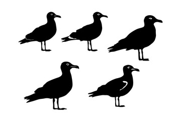 Obraz premium Set of black seagull silhouettes on white background.