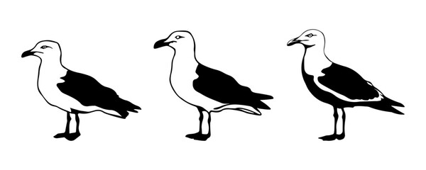 Set of black seagull silhouettes on white background.