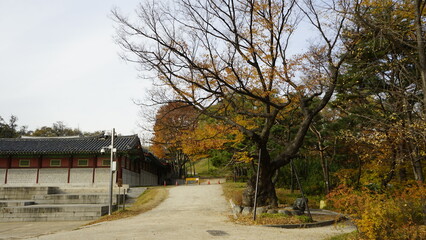 가을 단풍과 낙엽이 아름다운 풍굥입니다