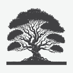 Fototapeta premium Print Majestic Myrtle Tree Silhouette, A Timeless Symbol of Elegance and Serenity