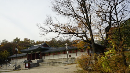 Obraz premium 가을 풍경과 경희궁 고궁과 도시의 풍경입니다.