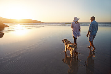 Beach, sunset and couple with dog on sand for outdoor travel, trust and summer vacation together....