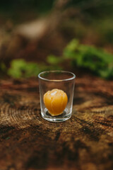 Handmade candles from natural beeswax in the shape of flowers in the glass candle holders on an old stump in the forest. Hobby. Artistic photo of beekeeping products against the backdrop of nature