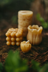Handmade candles from natural beeswax in the shape of flowers on an old stump in the forest. Hobby. Gift or present for holidays. Artistic photo of beekeeping products against the backdrop of nature